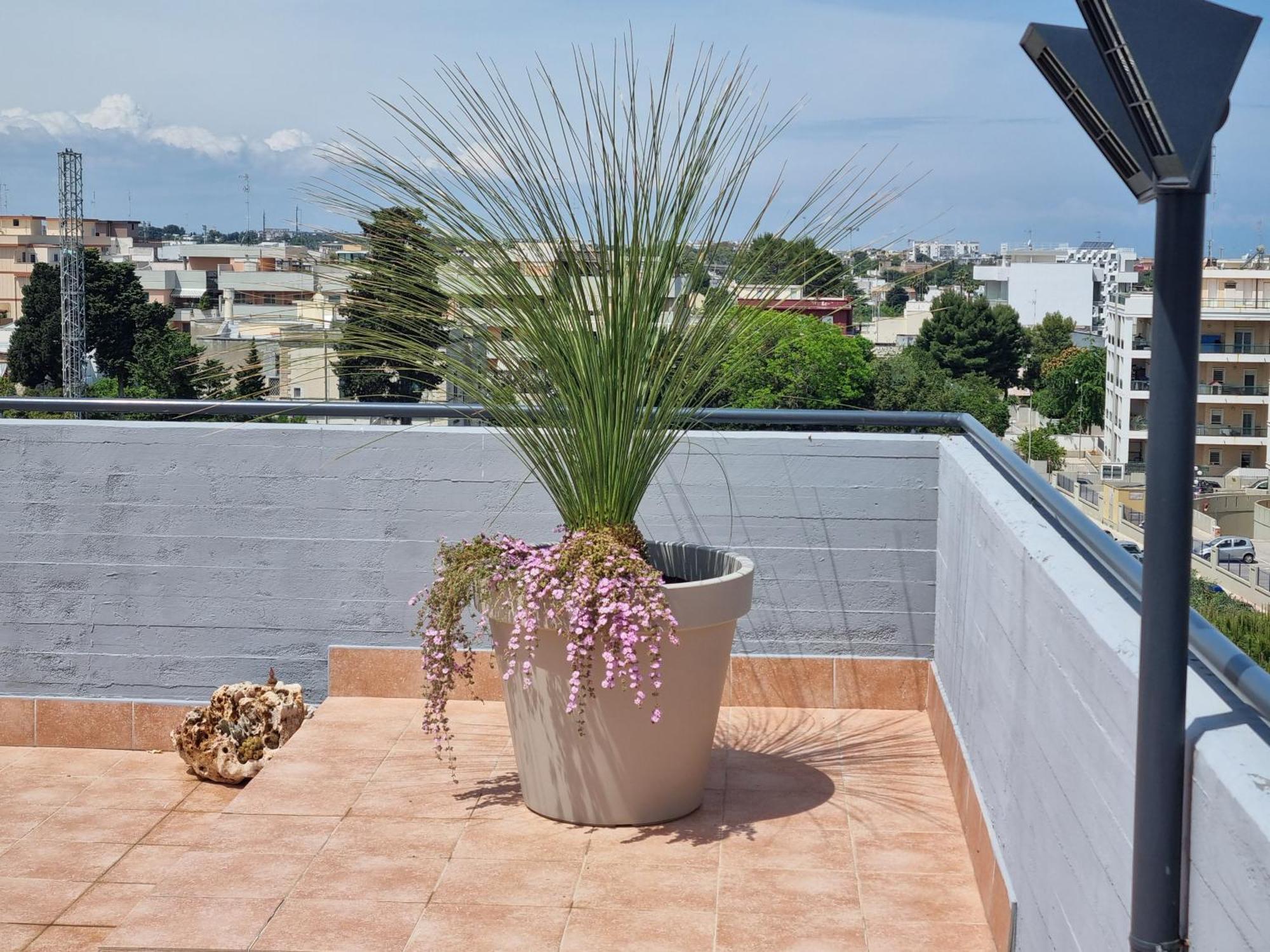 Atticocinque Appartement